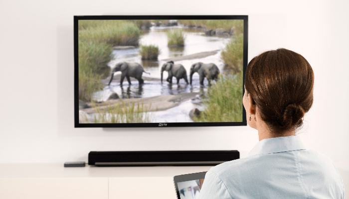 Oticon: 