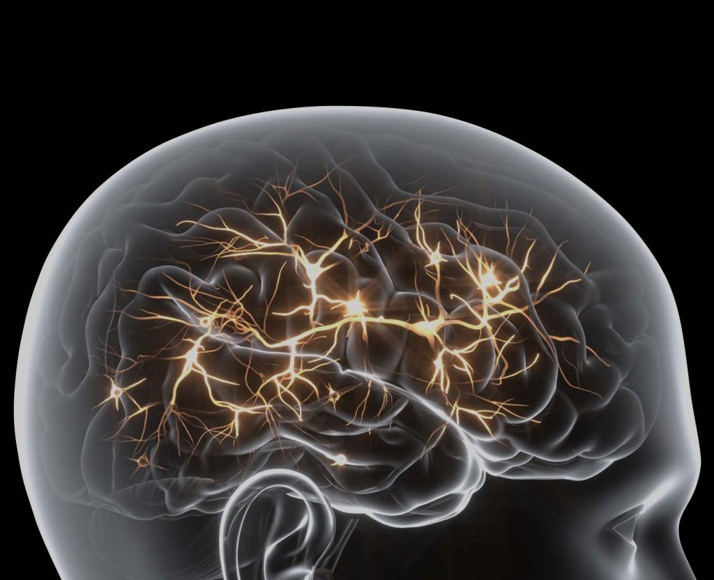 Starkey Edge AI Hearing Aids – Innovative, Powerful, and Energy-Efficient in 2024 2